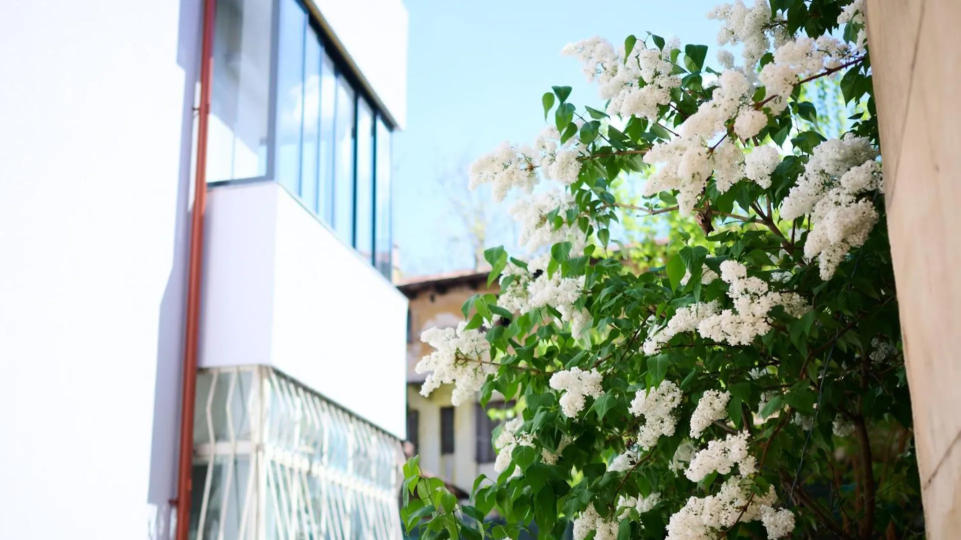 Old Town Retreat Apartment 7 Бухарест Румыния